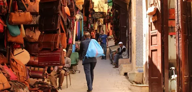 FEZ